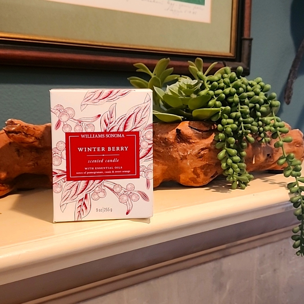 NIB Williams Sonoma Single Wick Candle Winter Berry